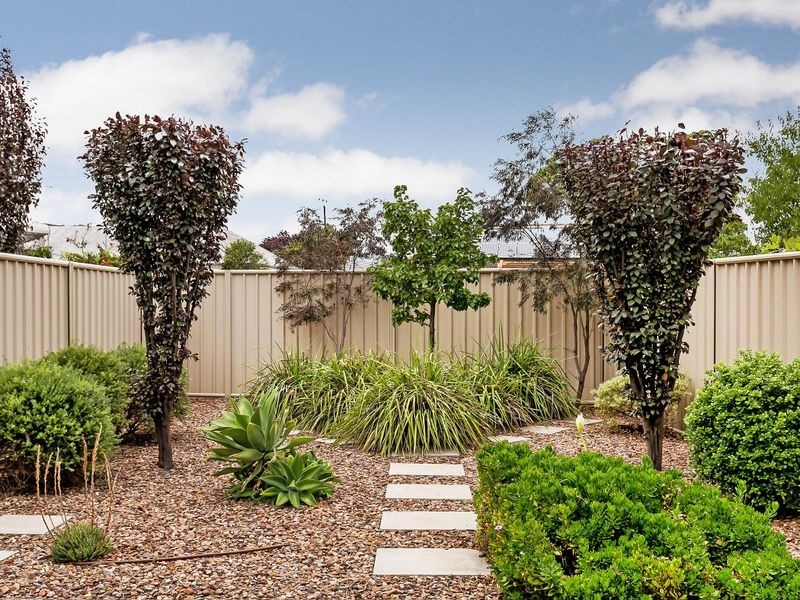 2 Cardiff Street, Woodville West SA 5011