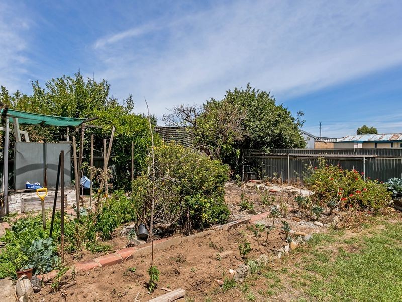 16 Andrew Street, Hendon SA 5014