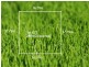 Lot 672 Blyth Avenue, Parafield Gardens SA 5107