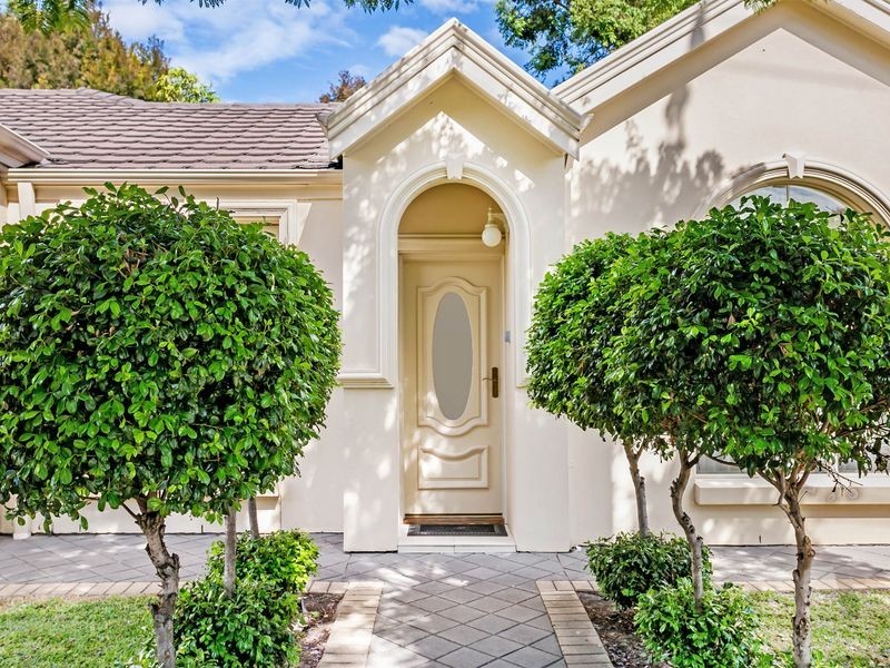 20 Grallina Street, Lockleys SA 5032