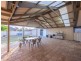 44 Murray Road, Willaston SA 5118