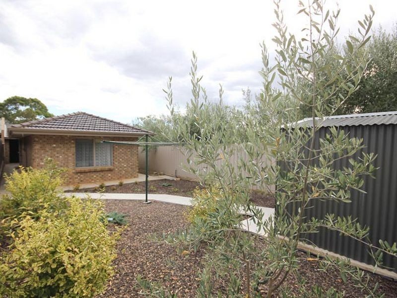 17B Sydney Street, Ridgehaven SA 5097