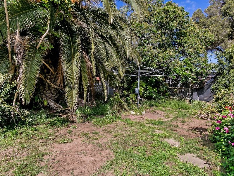 17 Shirley Avenue, Woodville West SA 5011