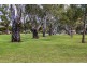 Lot 2/2 Burns Avenue, Kidman Park SA 5025