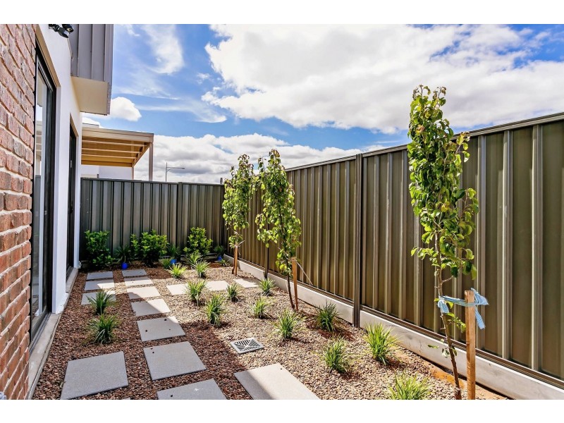7 Rhind Road, Northgate SA 5085