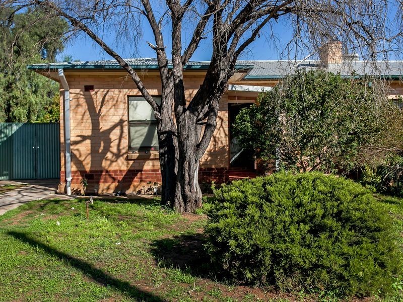 10 Brady Street, Elizabeth Downs SA 5113