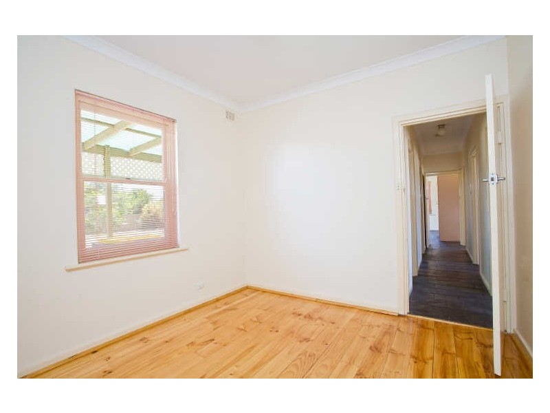 3 Collins Avenue, Edwardstown SA 5039