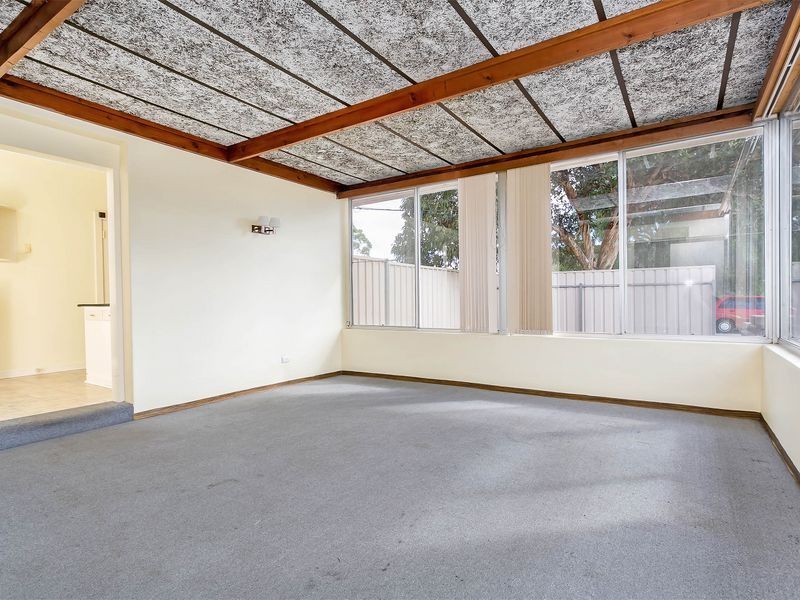 62 Bray Street, Plympton Park SA 5038