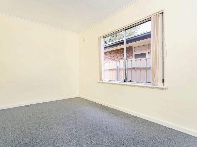 62 Bray Street, Plympton Park SA 5038