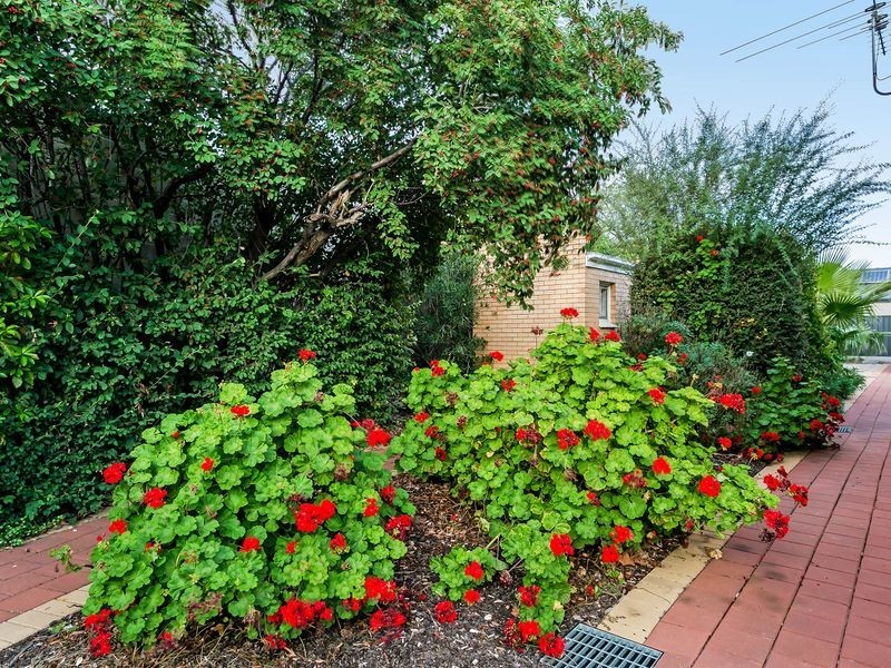 8/2 Hender Avenue, Klemzig SA 5087