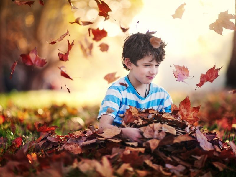 34a Brenthorpe Road, Seaton SA 5023