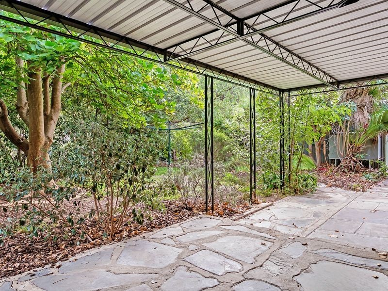 12 Apalie Drive, Modbury SA 5092