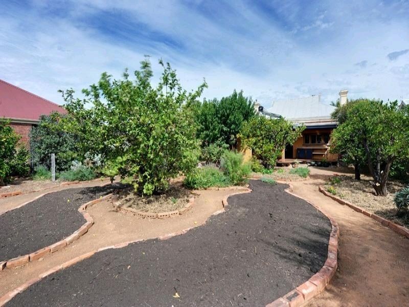 44 Shipster Street, Torrensville SA 5031