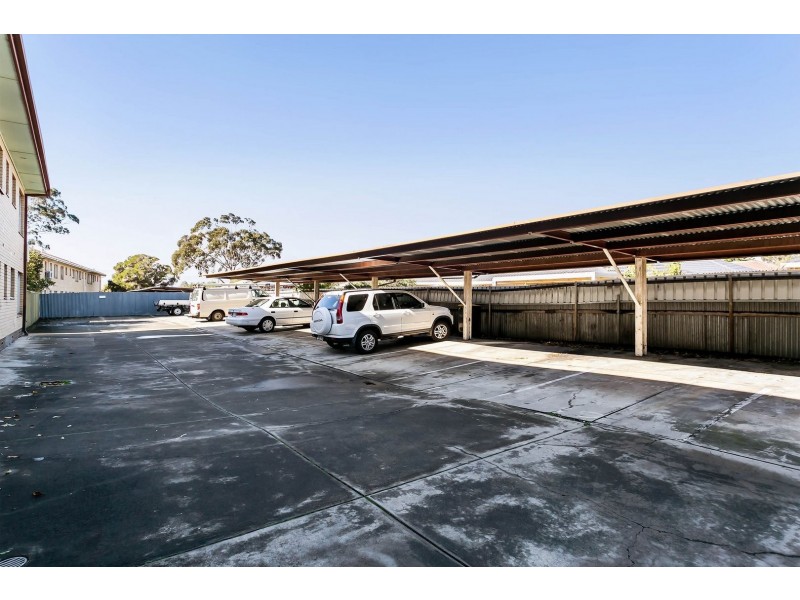 8 Montrose Avenue, Seaton SA 5023