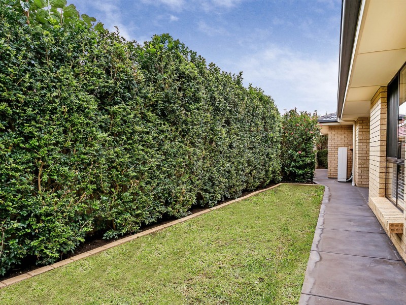 14 Fortrose Avenue, Seaton SA 5023