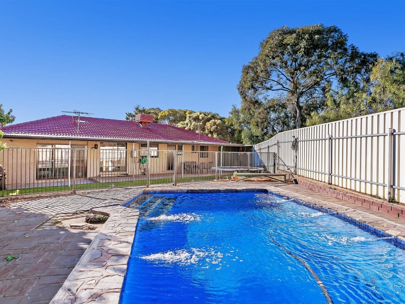 51 Warren Road, Para Vista SA 5093