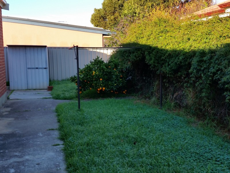 22 Autumn Avenue, Lockleys SA 5032