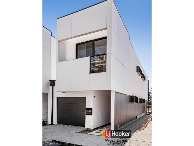 47 Banksia Street, West Lakes SA 5021