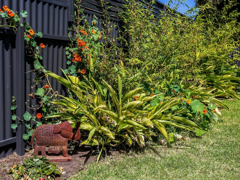 25 East Street, Torrensville SA 5031