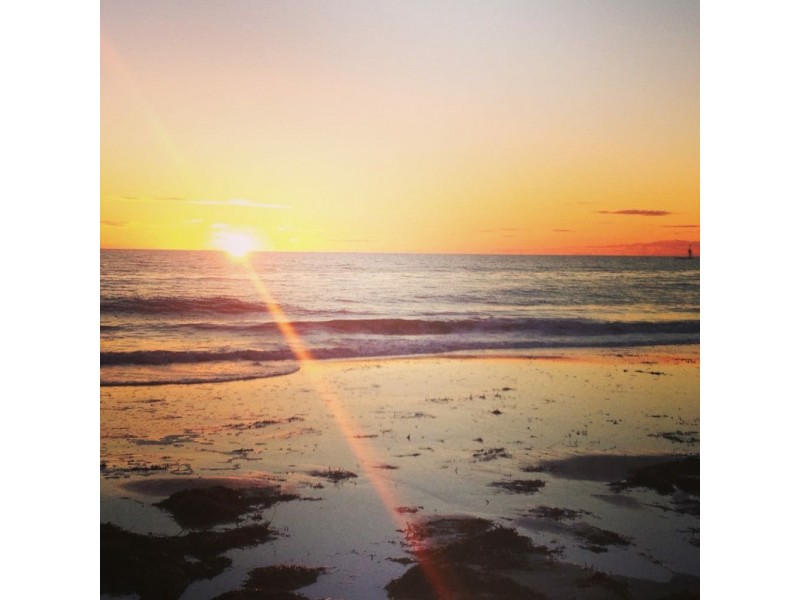 Allotment 101/13 Bardia Avenue, Findon SA 5023