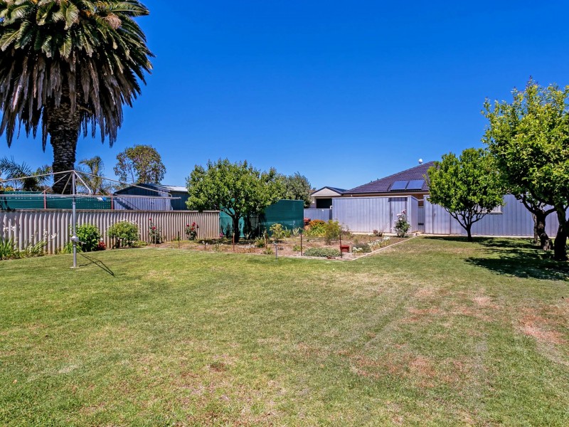 53 Russ Avenue, Seaton SA 5023