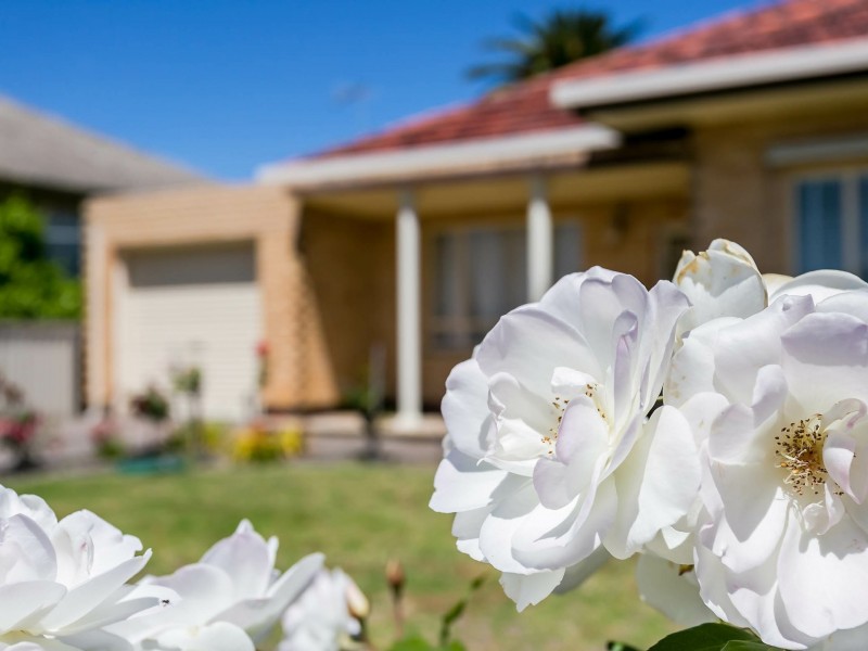 53 Russ Avenue, Seaton SA 5023