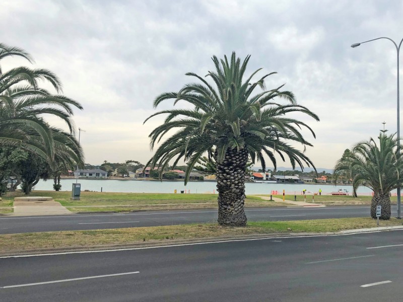 107 Military Road, Tennyson SA 5022