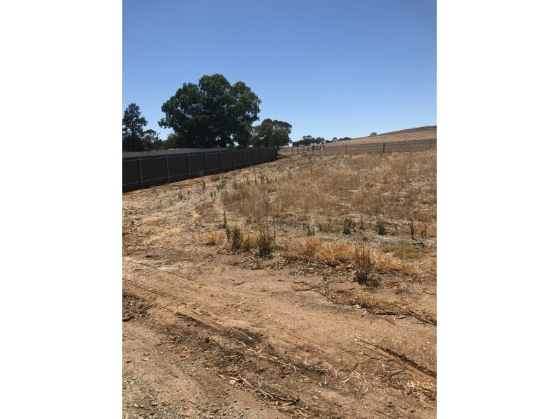 Allotment Main Road, Rhynie SA 5412