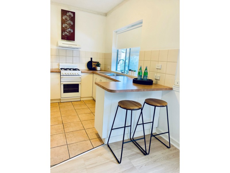 1/186 Jeffcott Street, North Adelaide SA 5006