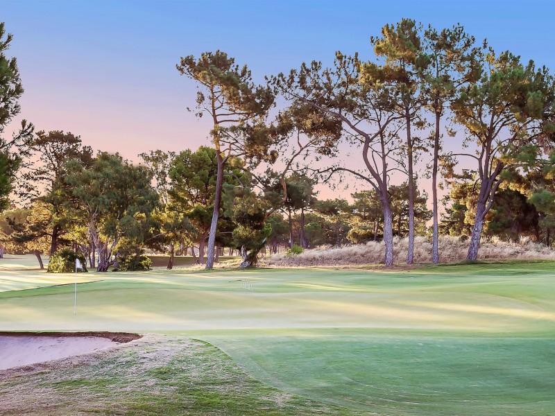 33 Pine Lodge Crescent, Grange SA 5022