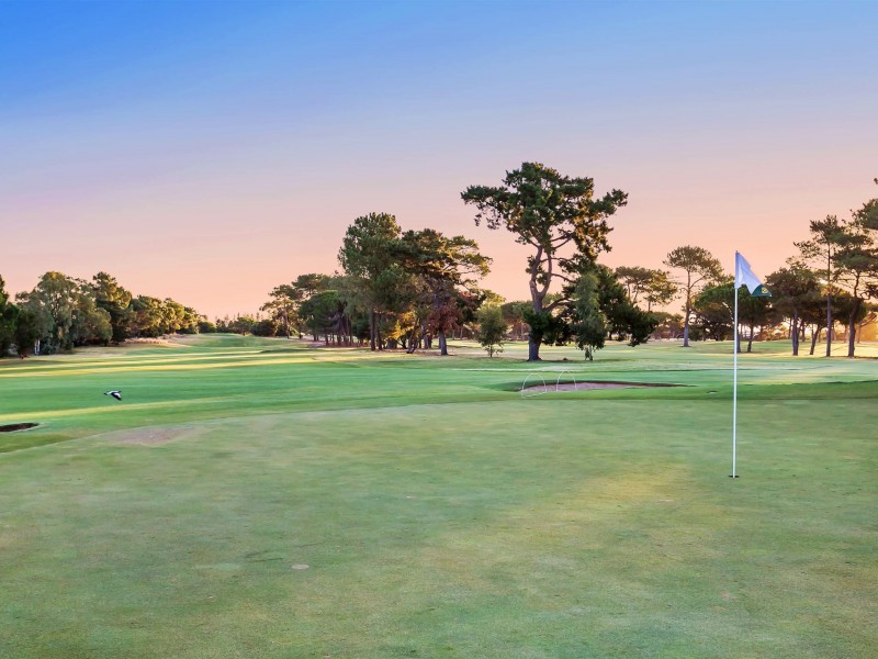 33 Pine Lodge Crescent, Grange SA 5022