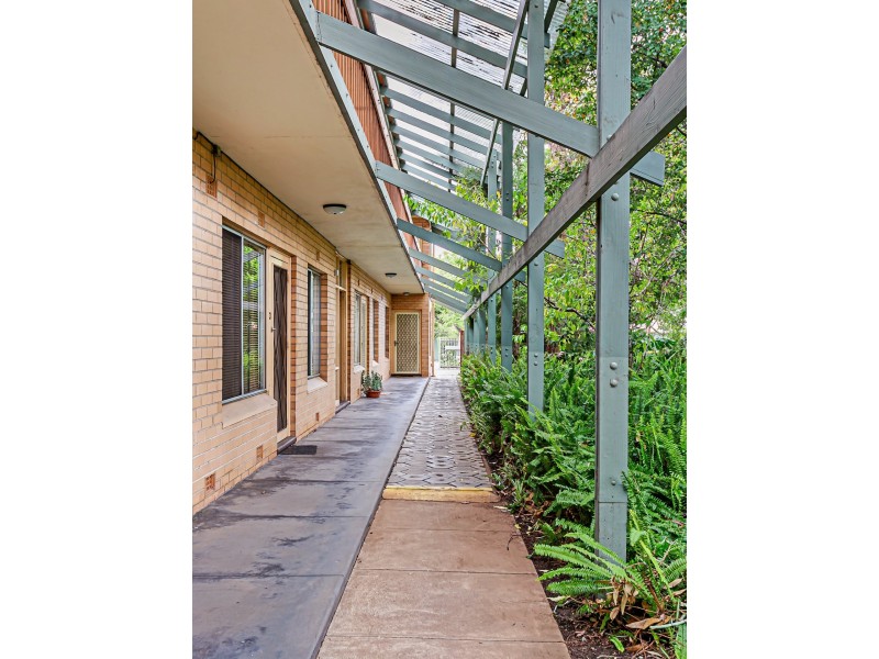 9/306 Fullarton Road, Fullarton SA 5063