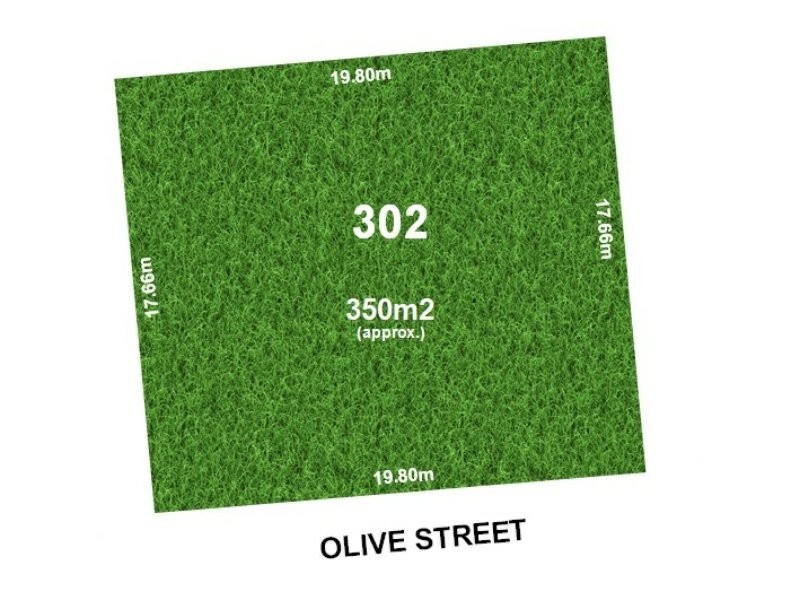 24 Olive Street, Seaton SA 5023