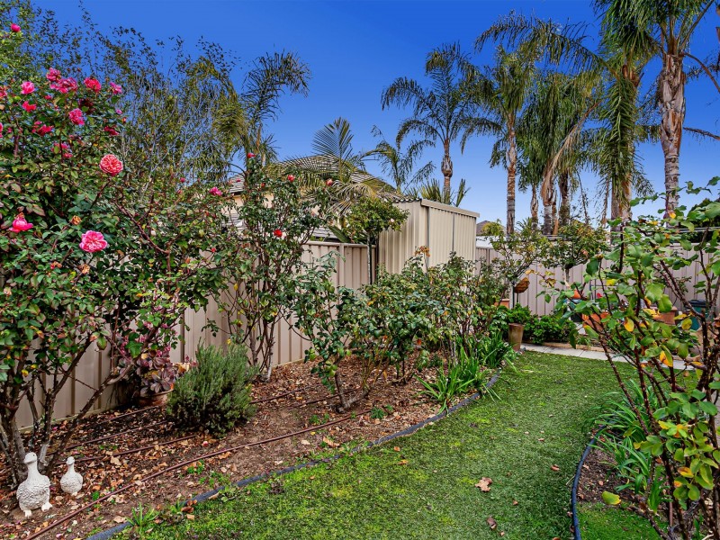 11 Knapman Crescent, Port Adelaide SA 5015