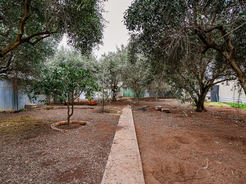 6 Seaton Terrace, Seaton SA 5023