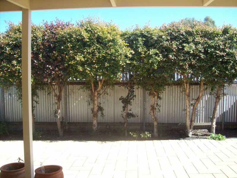 9 Derby Street, Gillman SA 5013