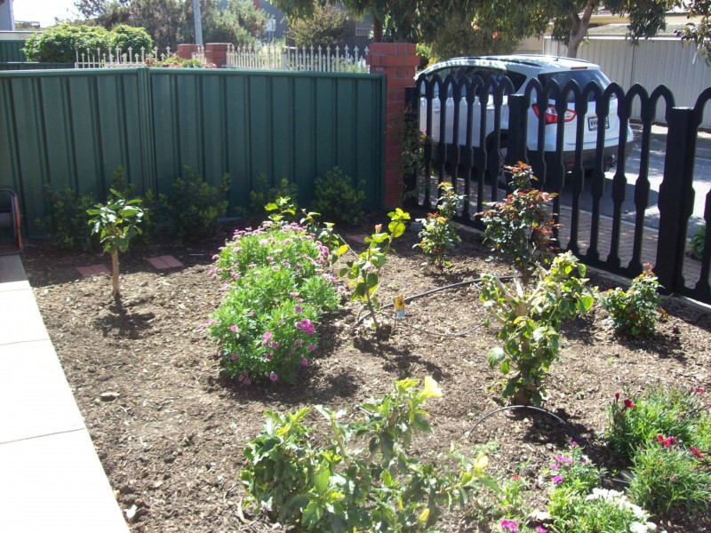 9 Derby Street, Gillman SA 5013