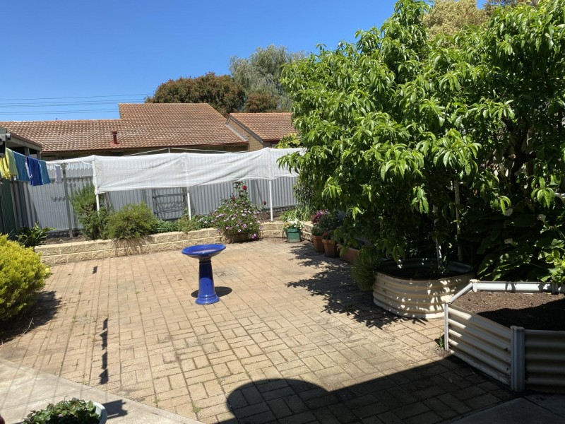 8 Kestrel Grove, Semaphore Park SA 5019