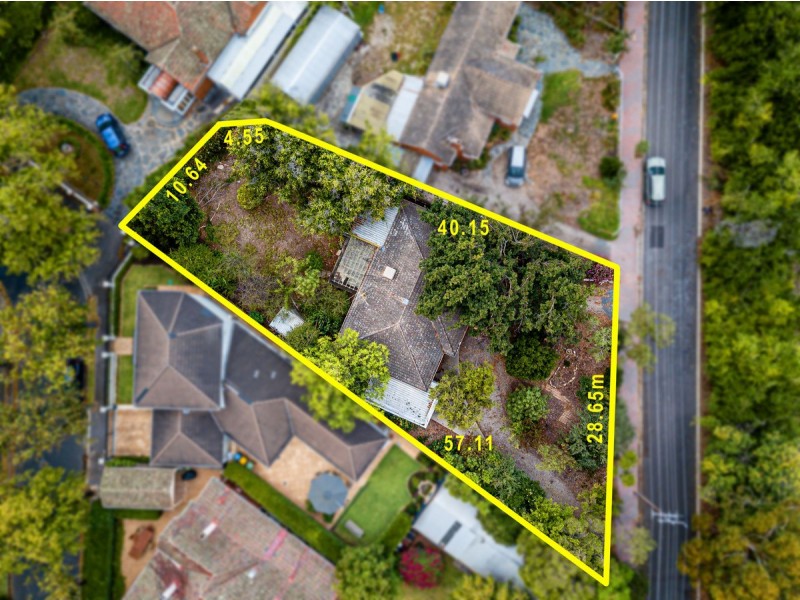 42 Nanthea Terrace South, Unley Park SA 5061