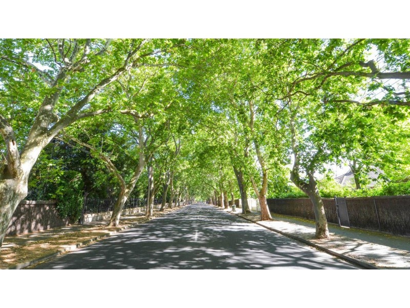 42 Nanthea Terrace South, Unley Park SA 5061