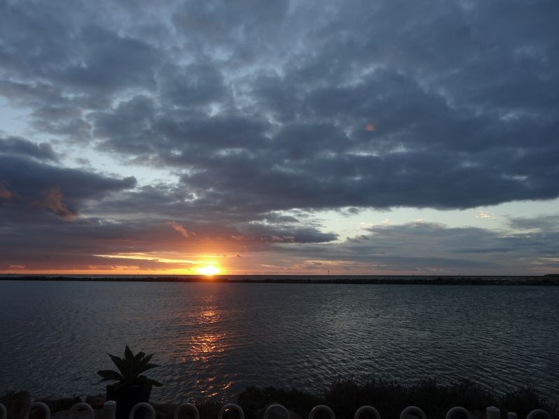 110 One & All Drive, North Haven SA 5018