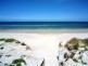 17/194 Seaview Road, Henley Beach South SA 5022