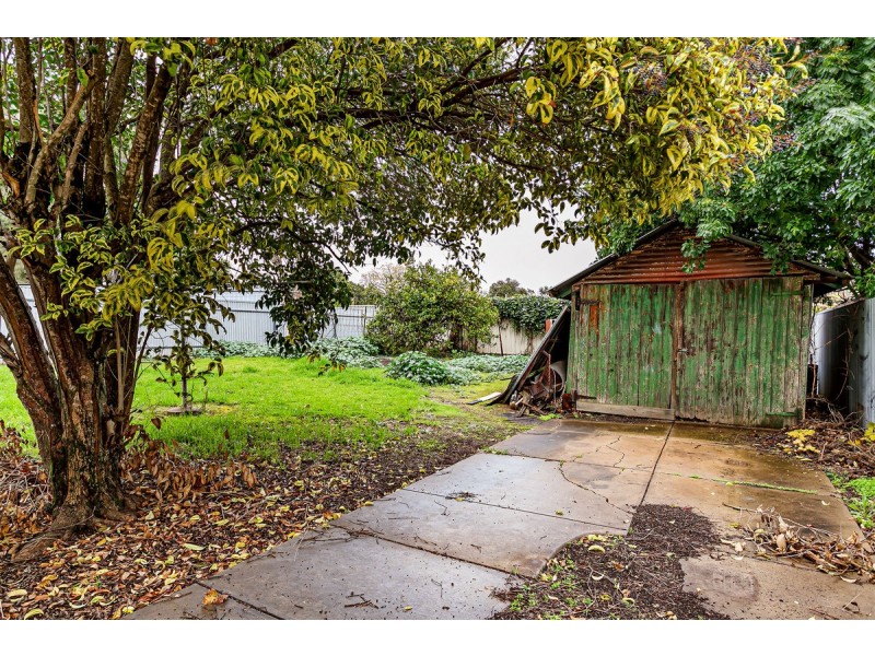 16 Alma Road, Fullarton SA 5063