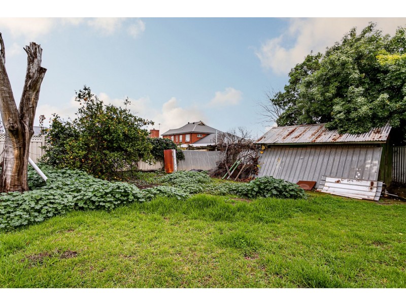 16 Alma Road, Fullarton SA 5063