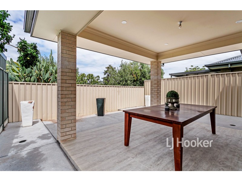 41 Seaton Terrace, Seaton SA 5023