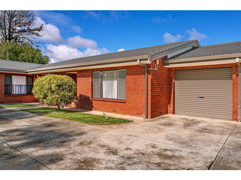 Torrensville SA 5031