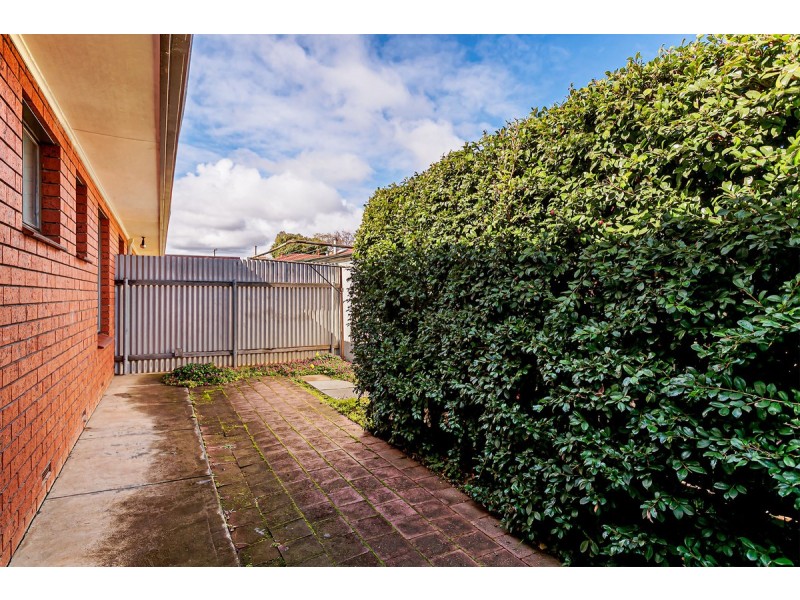 Torrensville SA 5031