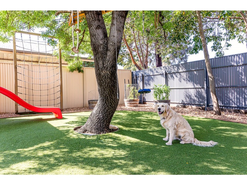 10 Ophir Street, Goodwood SA 5034