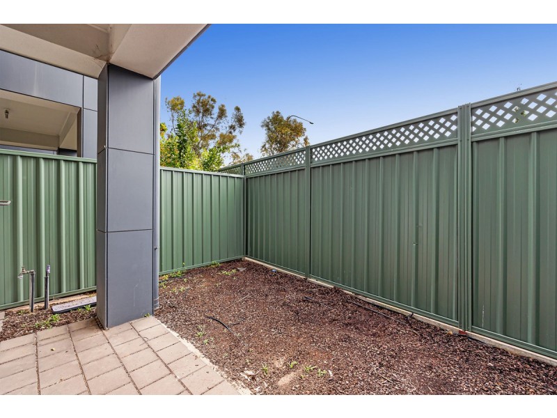 Mawson Lakes SA 5095