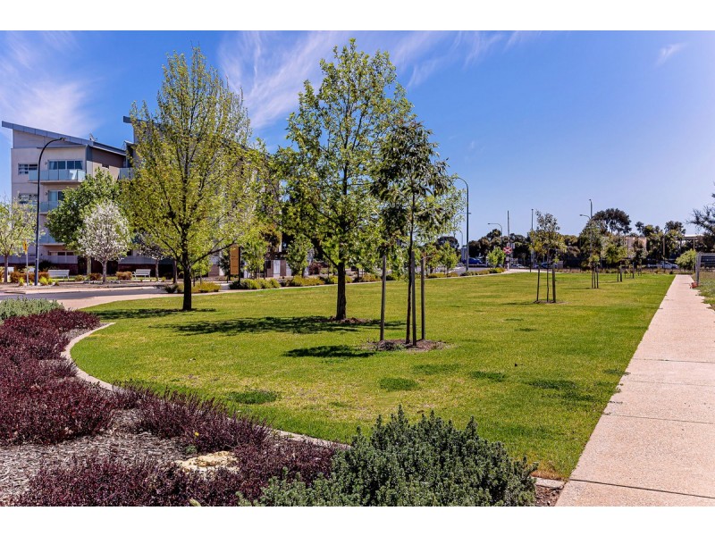 302/6 Sweeney Terrace, Woodville West SA 5011